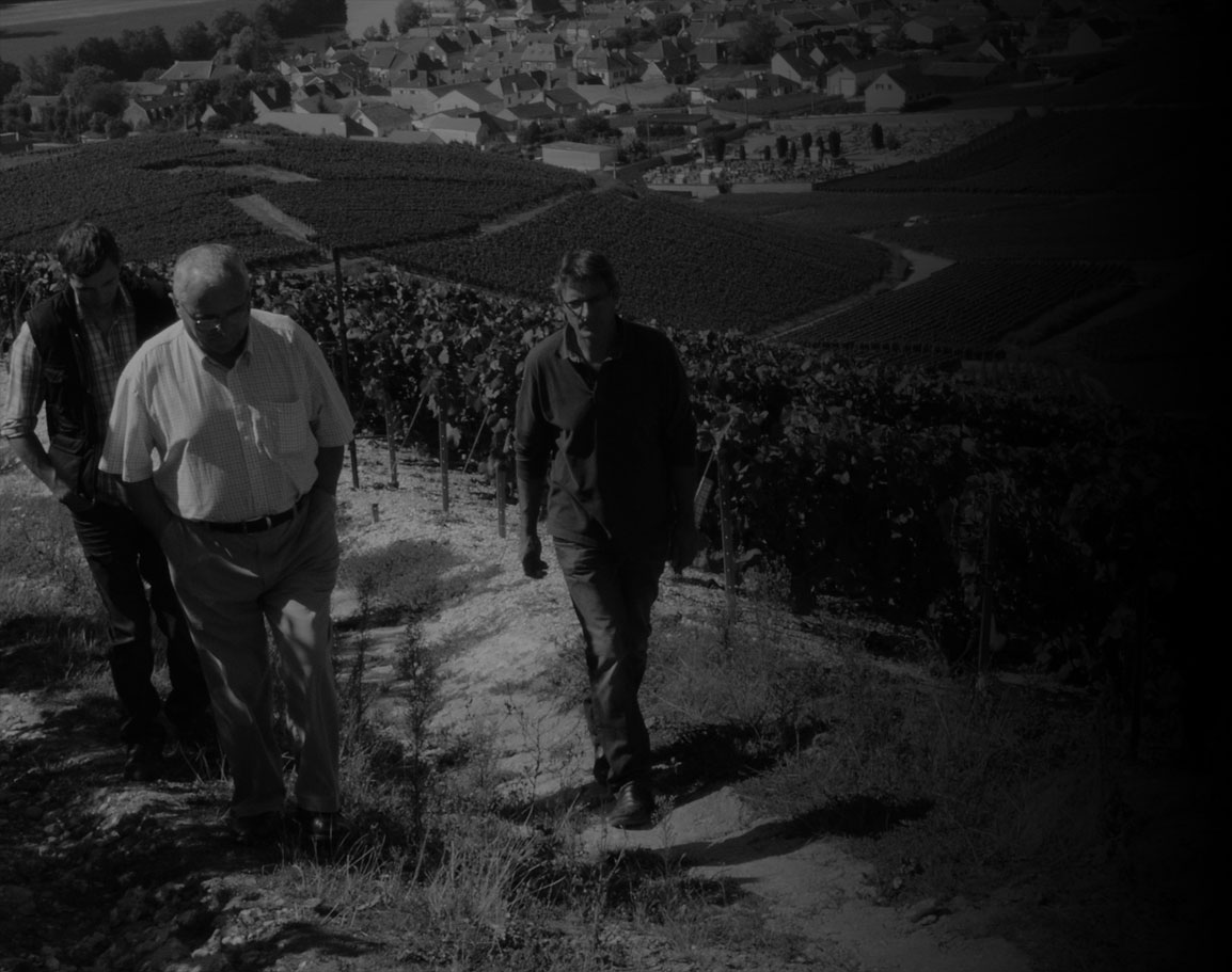 Champagne Vadin Plateau Champagne Vadin Plateau