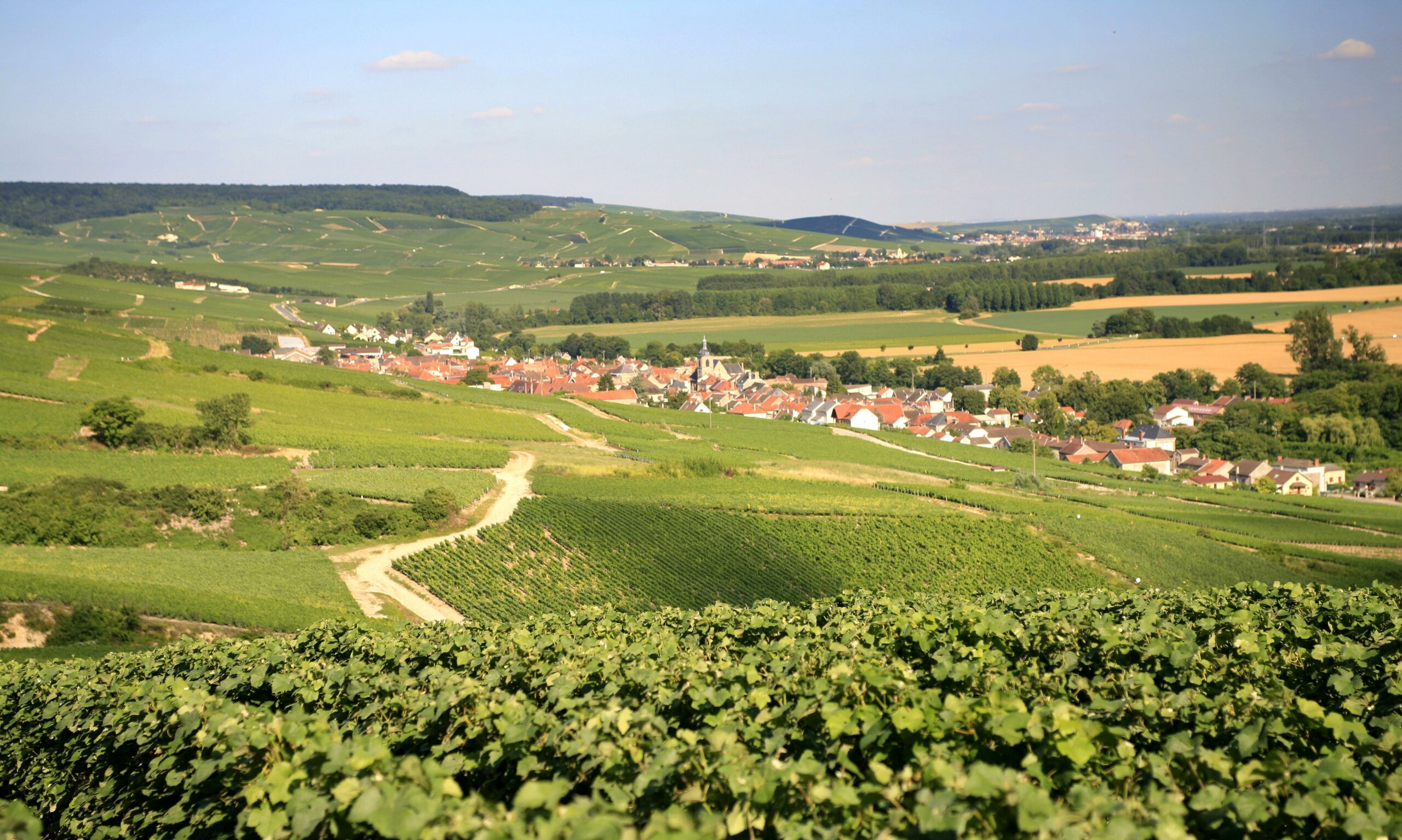 Champagne Vadin Plateau